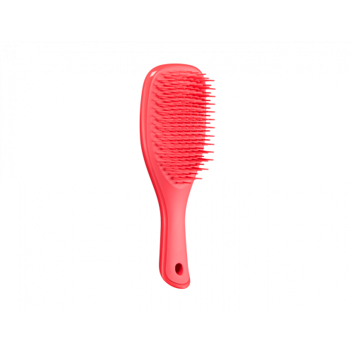 Щітка для волосся Tangle Teezer The Wet Detangler Mini Pink Punch