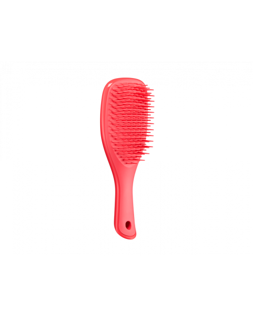 Щітка для волосся Tangle Teezer The Wet Detangler Mini Pink Punch