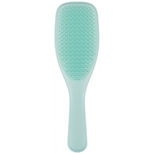 Щітка для волосся Tangle Teezer The Wet Detangler Fine & Fragile Sea Spray Green