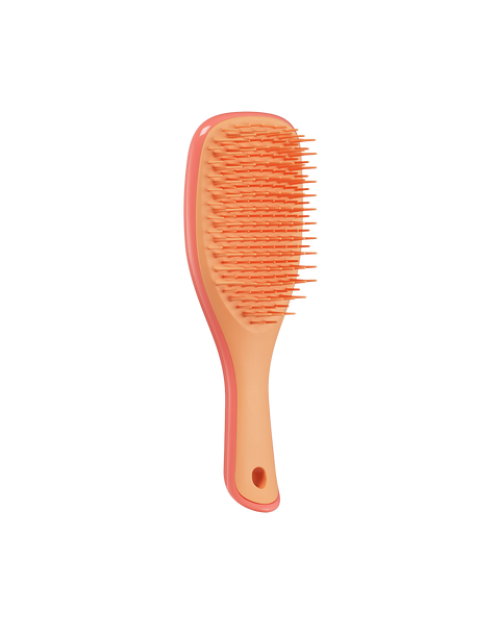 Щітка для волосся Tangle Teezer The Ultimate Detangler Mini Salmon Pink & Apricot